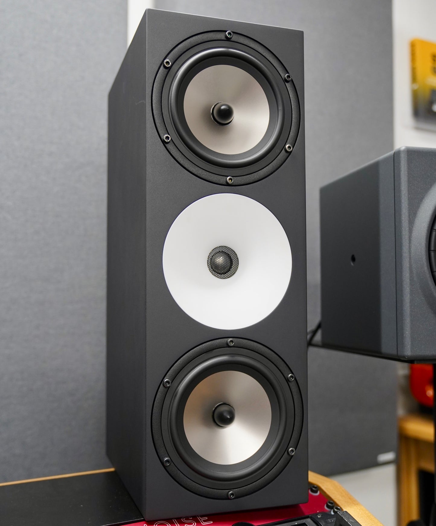 Amphion Two18 (Pair) w/ Amp700