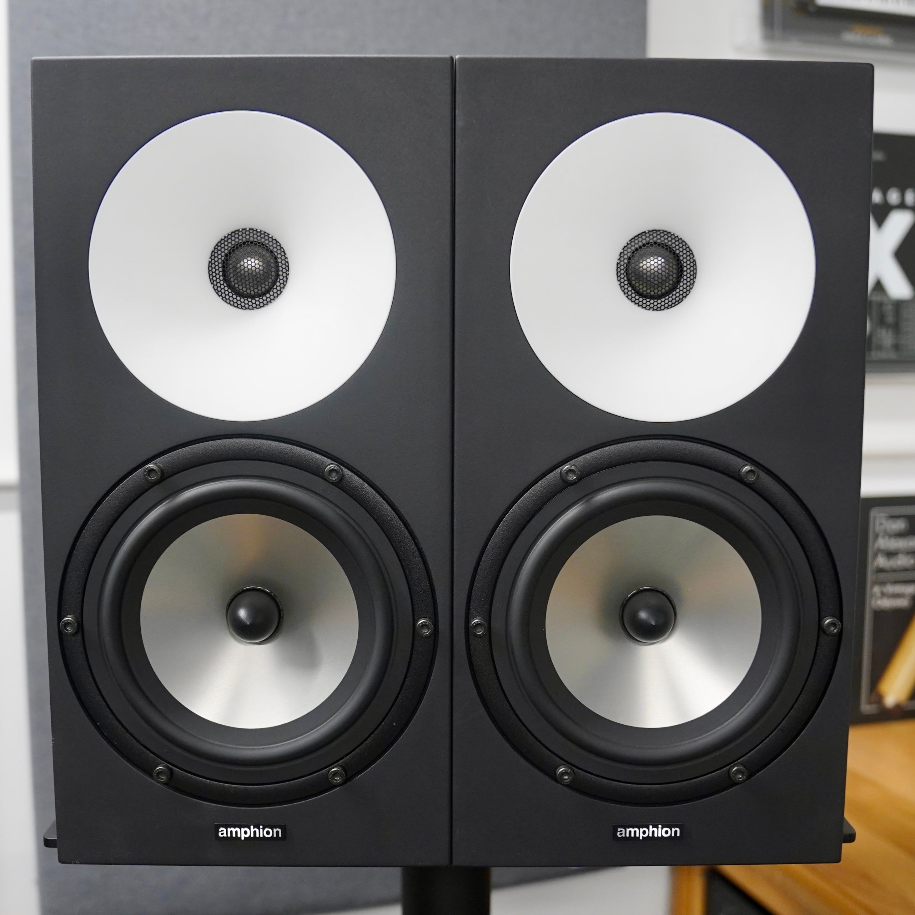 Amphion One18 (Pair) w/ Amp100