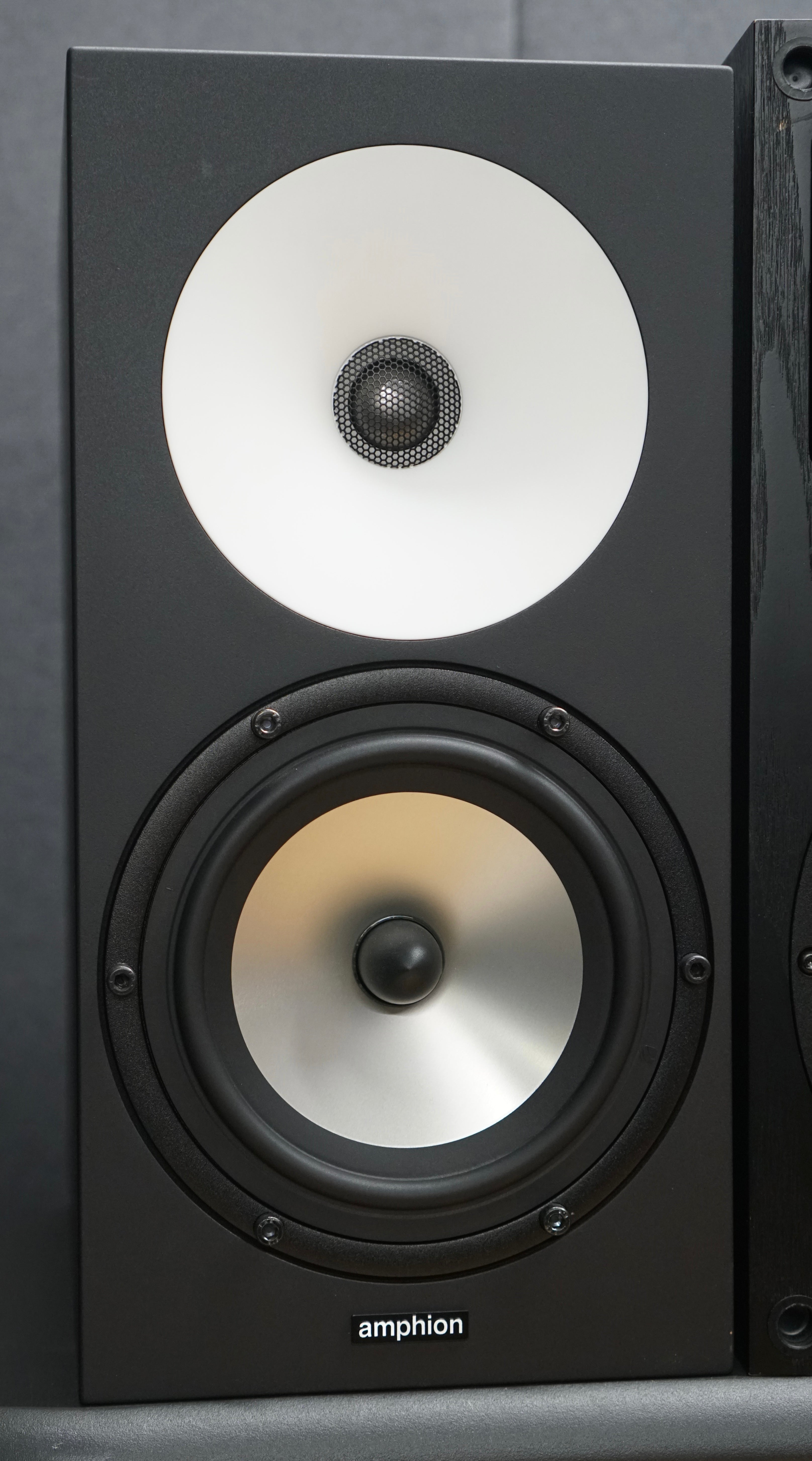 Amphion One18 (Pair) w/ Amp100